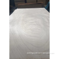 /msite/products/detail/productid/62956295/id/1514926.html